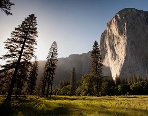 Photo of trees and a big rock mesa at Yosemite National Park