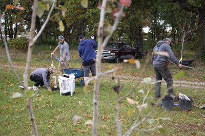 A picture of tree planting from Future Sales