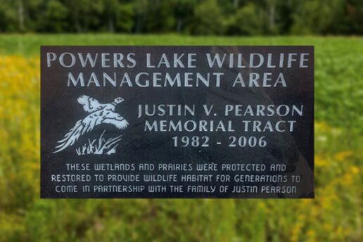 A picture of the Pleasureland RV Pheasants Forever donation plaque.