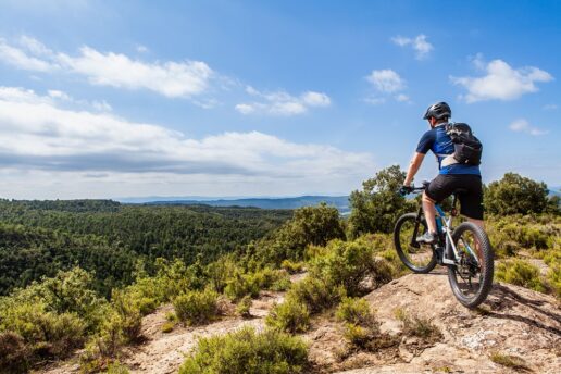 A man riding an eBike pauses at the top of a hill to look out over the scenic view.